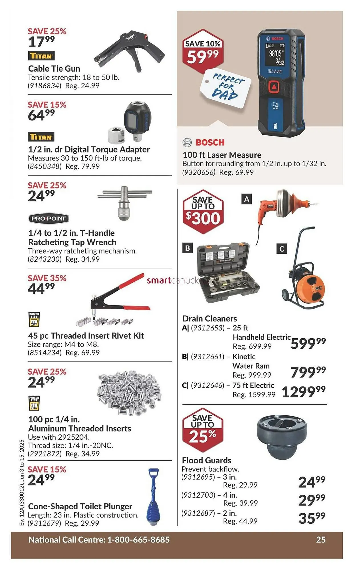 Princess Auto flyer from May 28 to June 3 2025 - flyer page 39