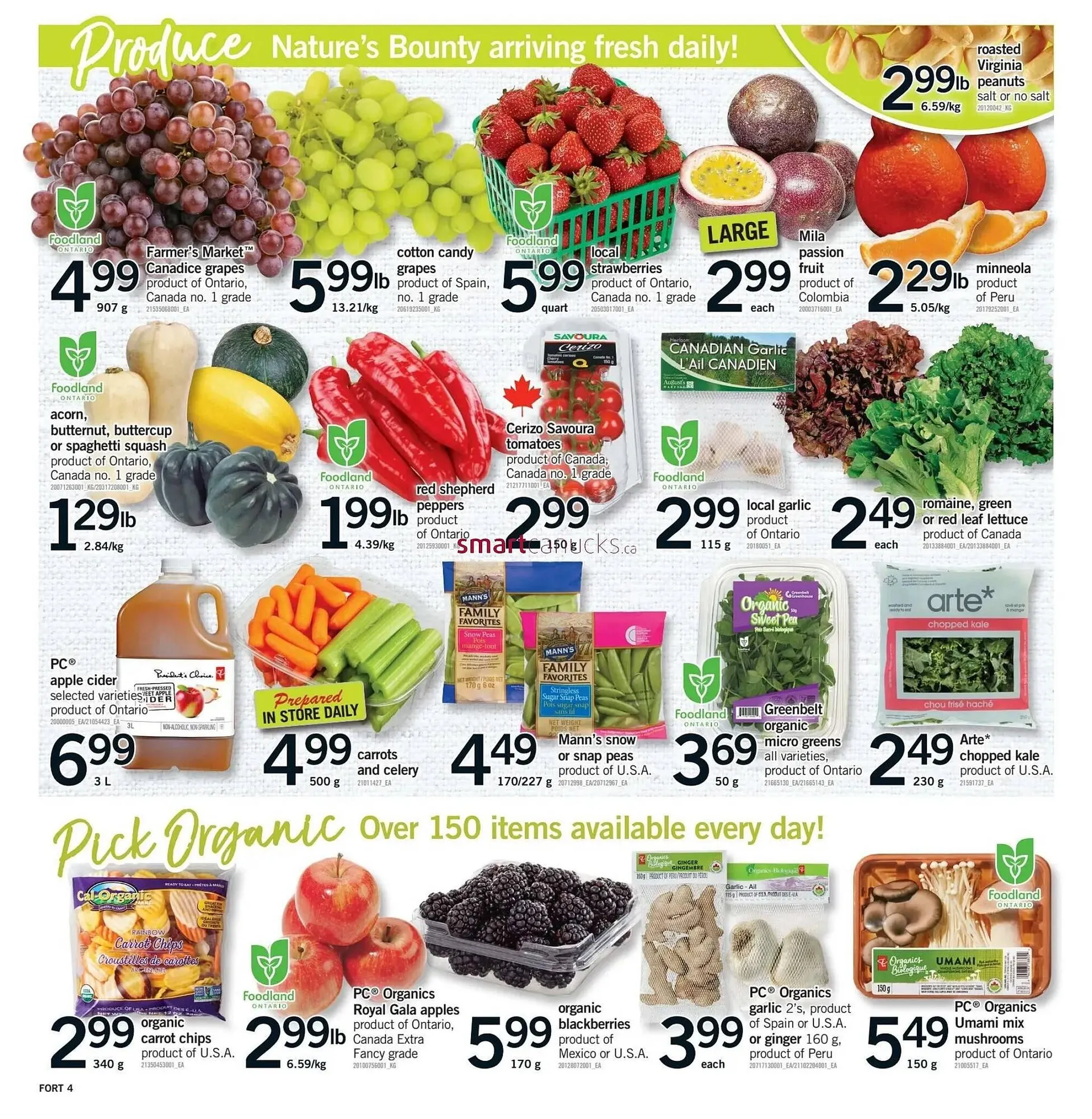 Fortinos flyer from September 18 to September 24 2025 - flyer page 5