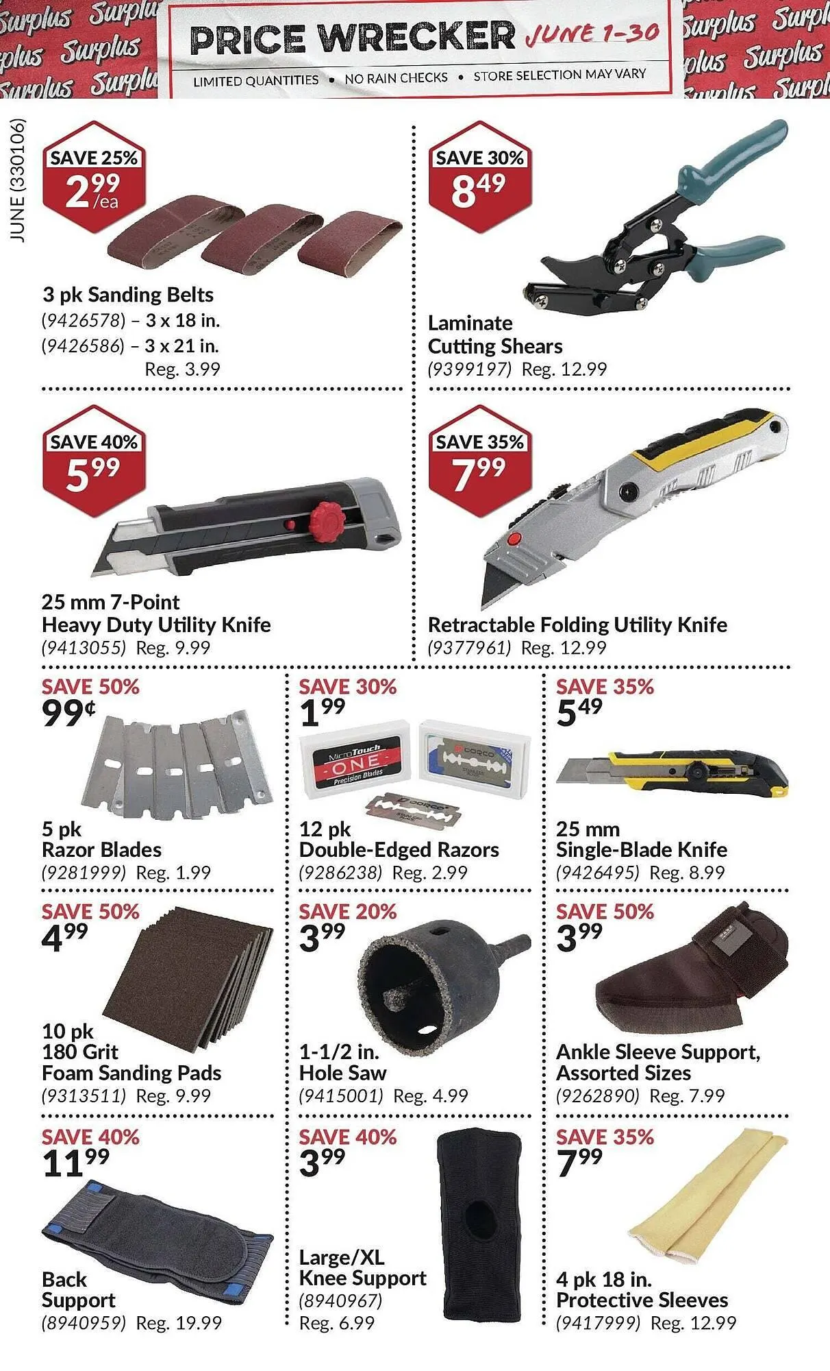 Princess Auto flyer from June 2 to June 16 2025 - flyer page 21