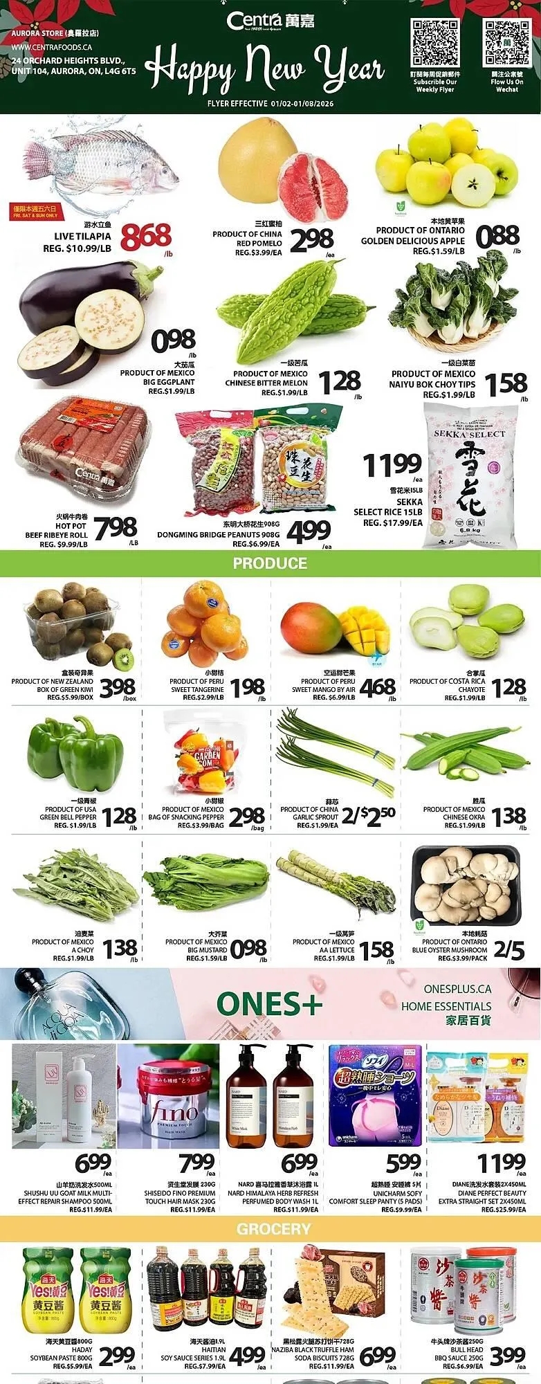 Centra Food Market flyer from January 2 to January 8 2026 - flyer page 1