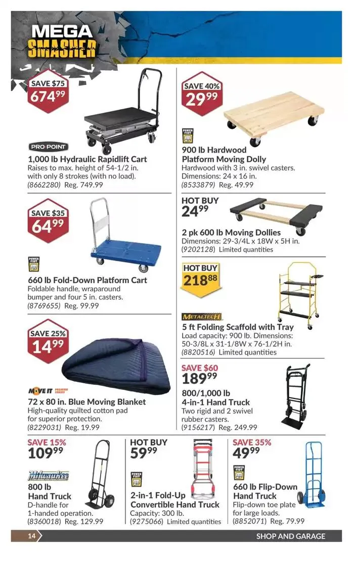 National Sale from March 11 to March 23 2025 - flyer page 19