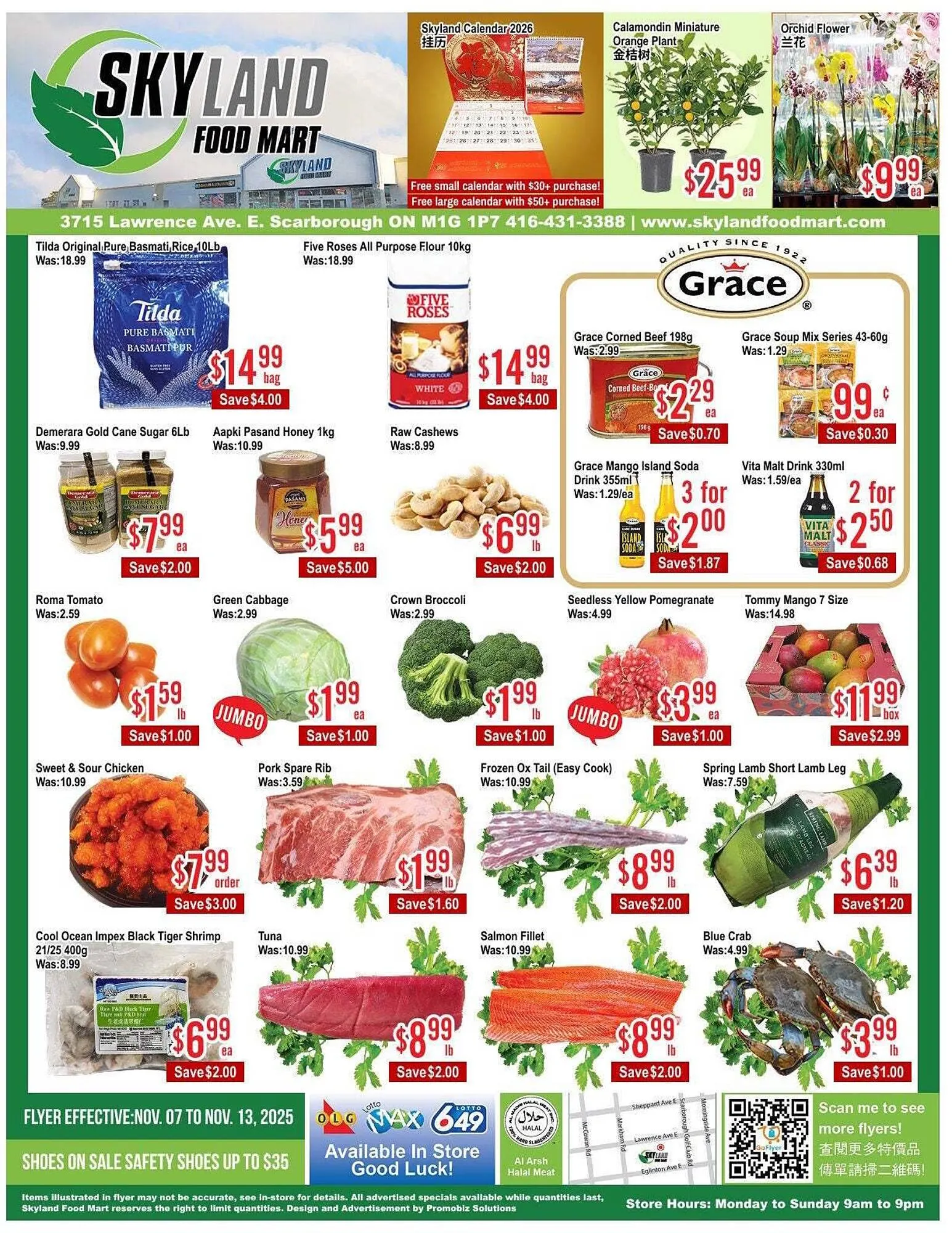 Skyland Foodmart flyer from November 7 to November 14 2025 - flyer page 1