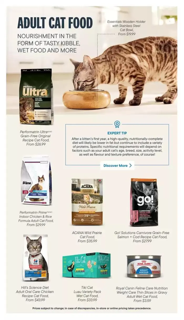 Devoted Cat Parent Guide from March 3 to March 31 2025 - flyer page 9