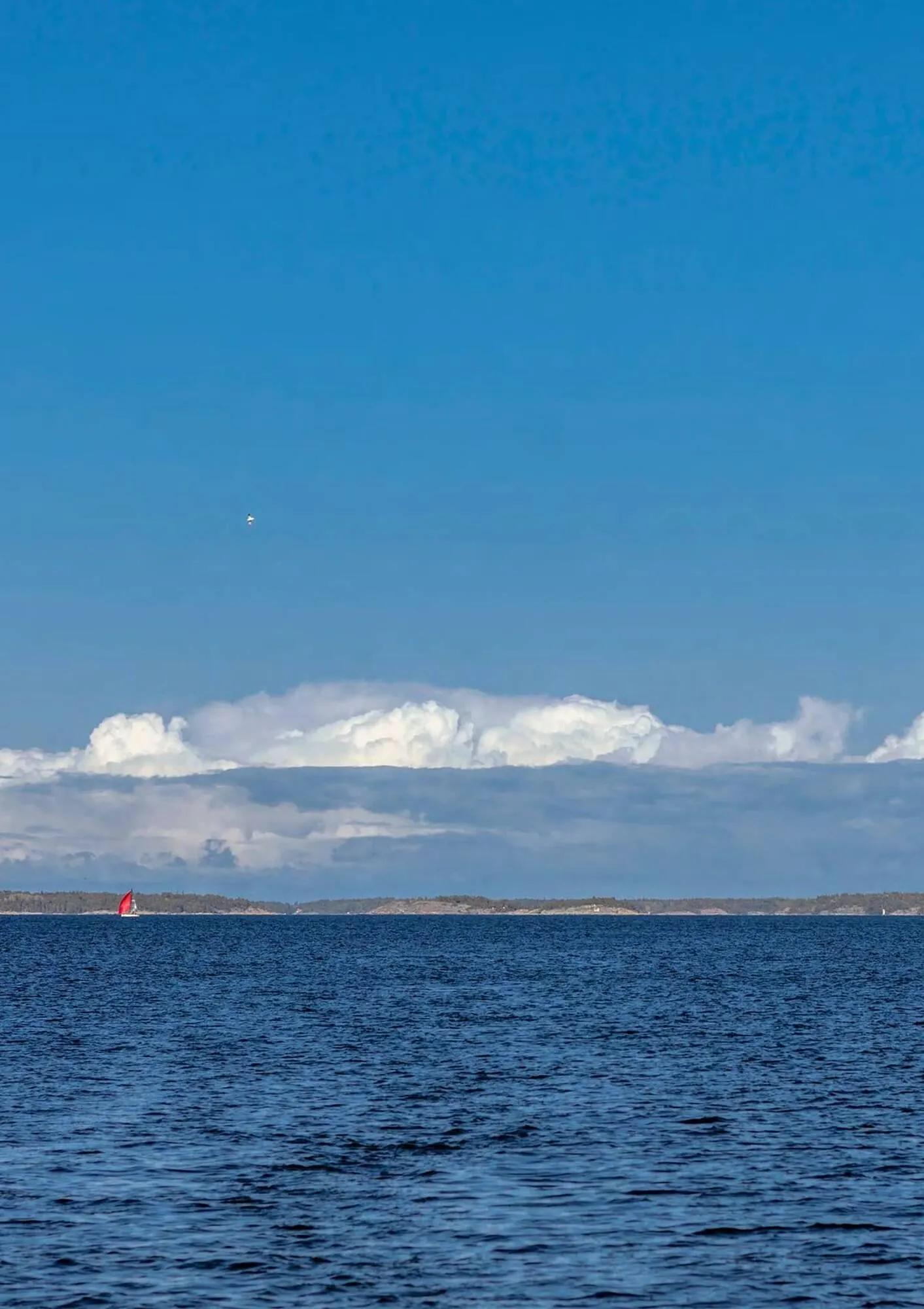 Helly Hansen flyer from March 12 to May 31 2026 - flyer page 65