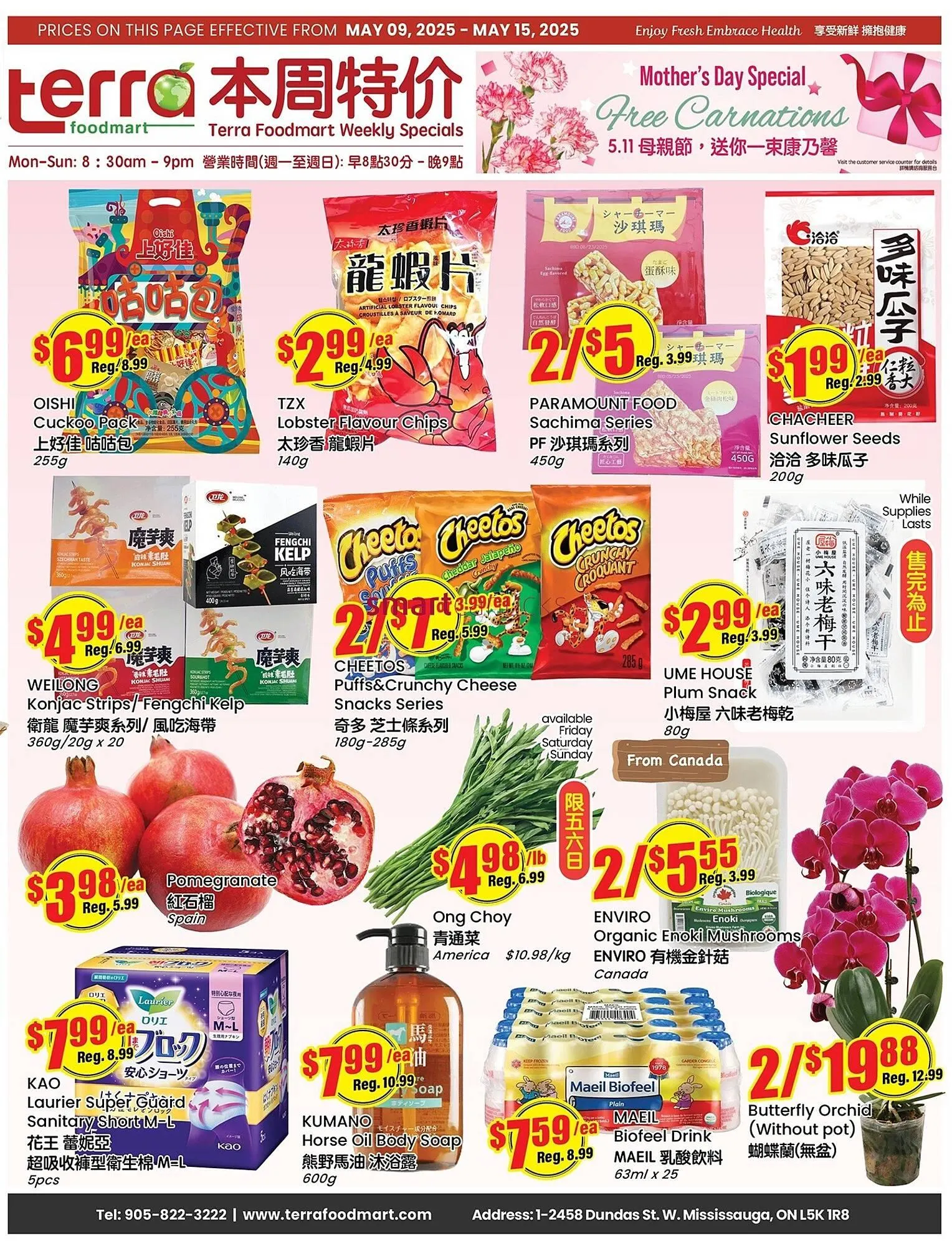 Terra Foodmart flyer from May 9 to May 15 2025 - flyer page 1
