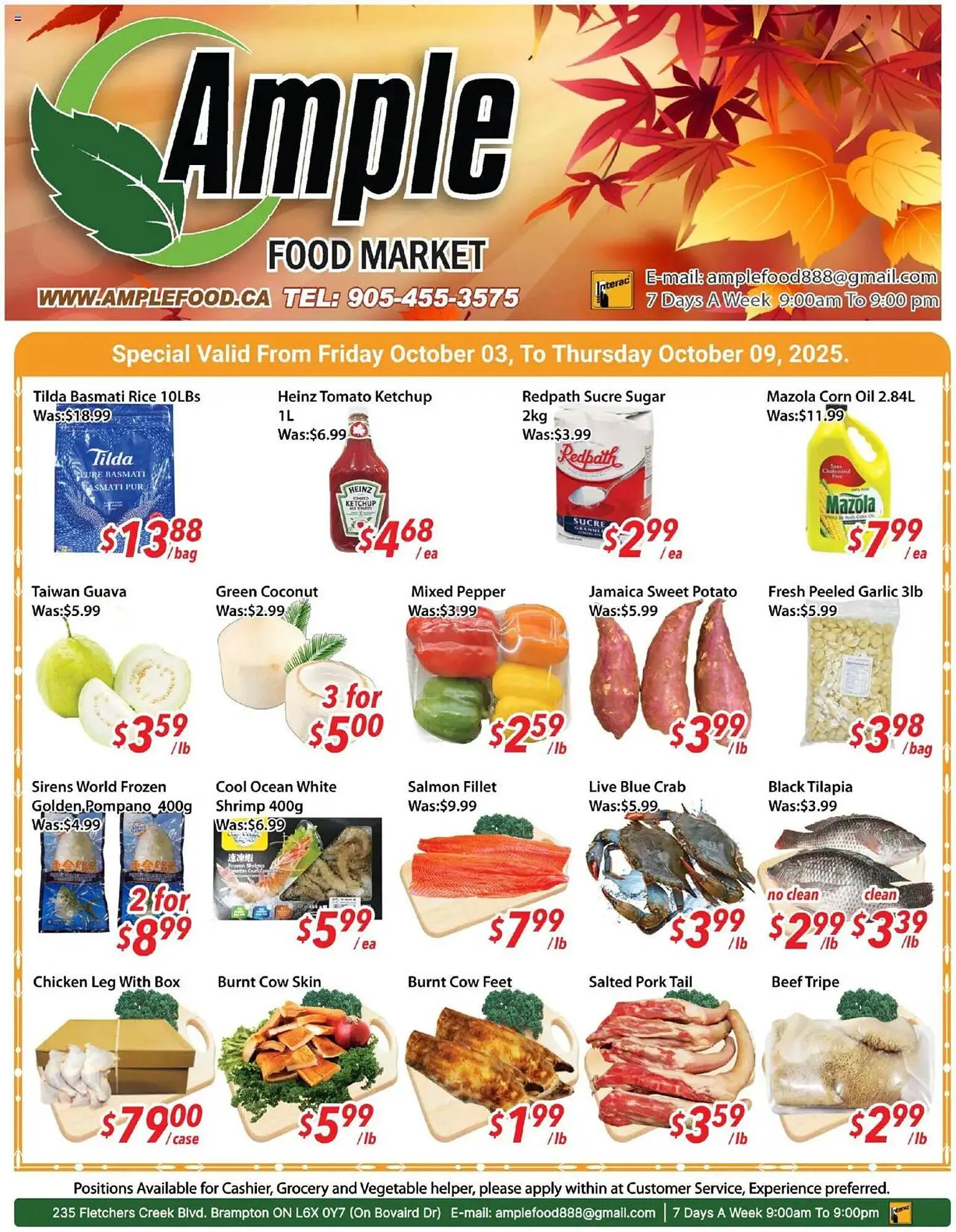 Ample Food Market flyer from October 3 to October 9 2025 - flyer page 1