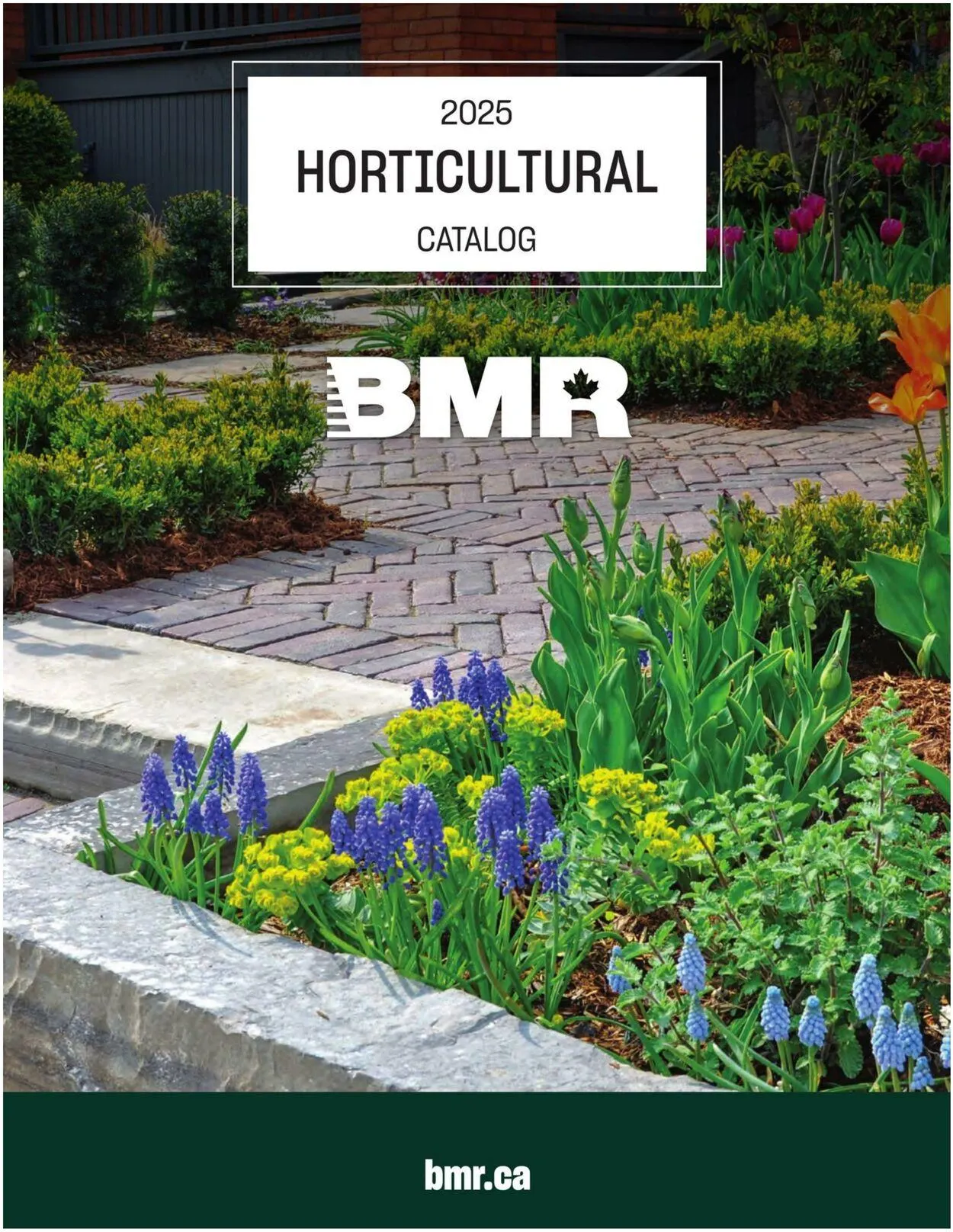 BMR Current flyer - 1