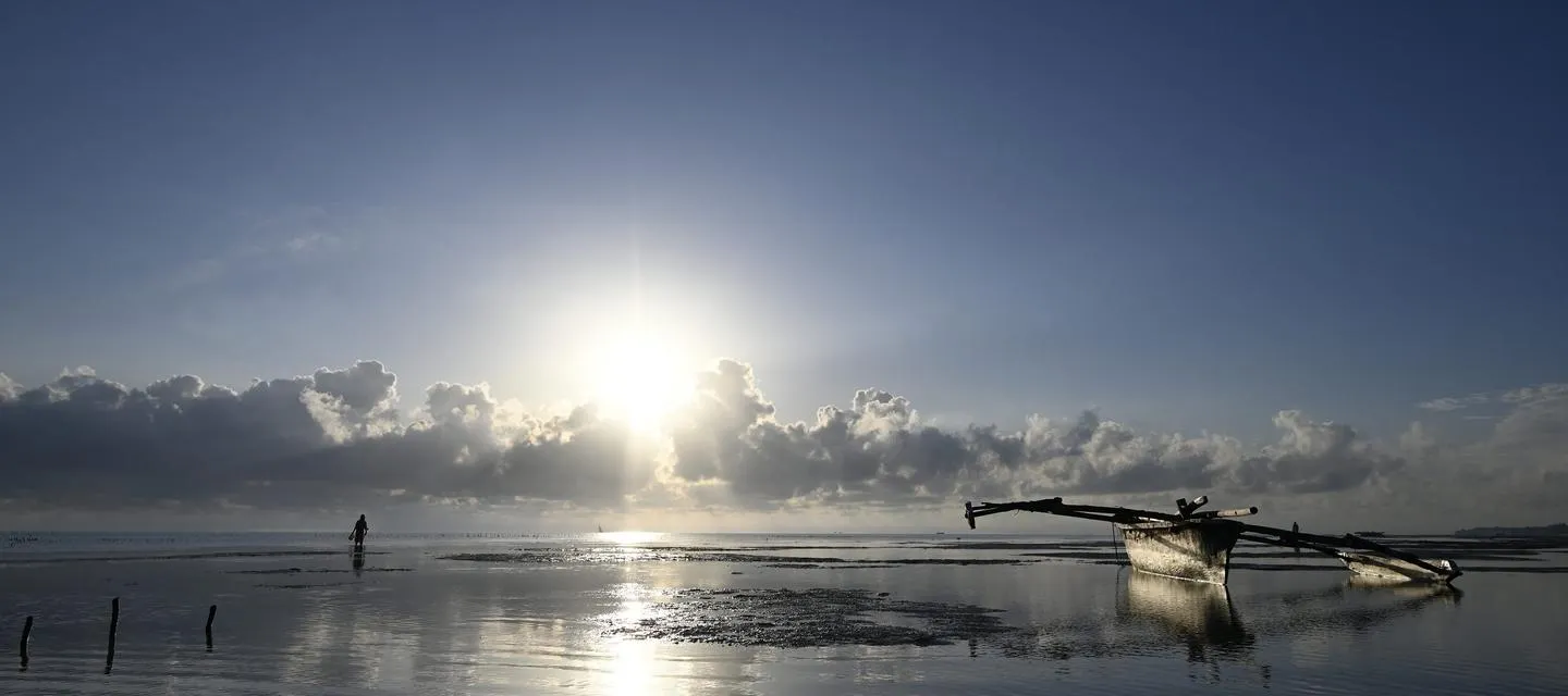 NIKKOR Z 24-200mm f/4-6.3 VR