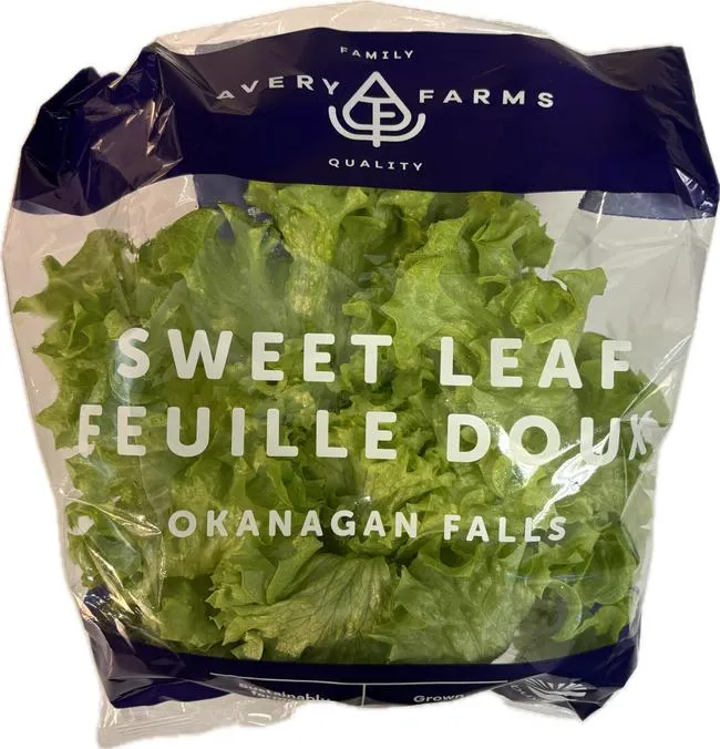 Avery Farms - Sweet Leaf Living Lettuce
