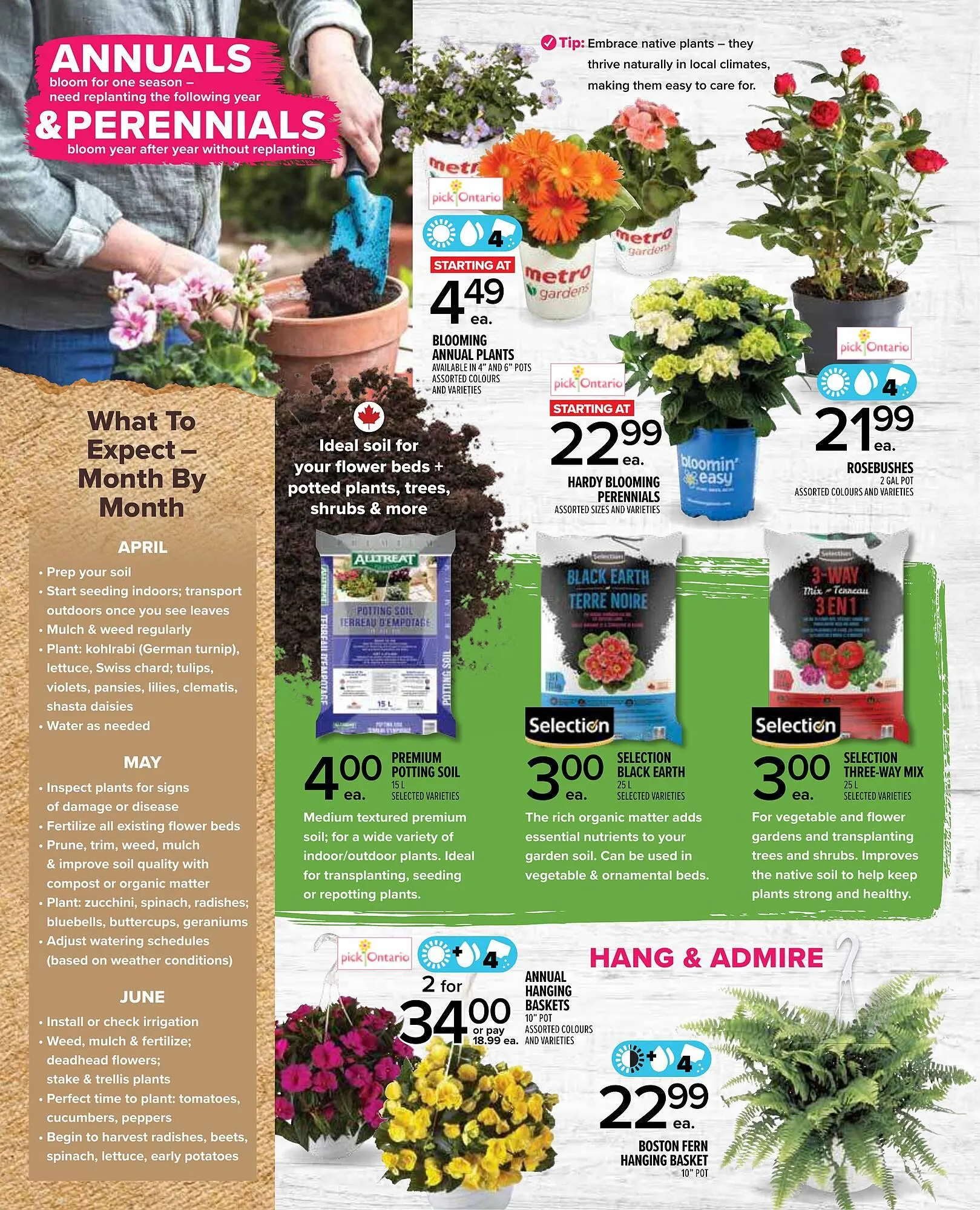 Metro flyer from April 24 to May 28 2025 - flyer page 2