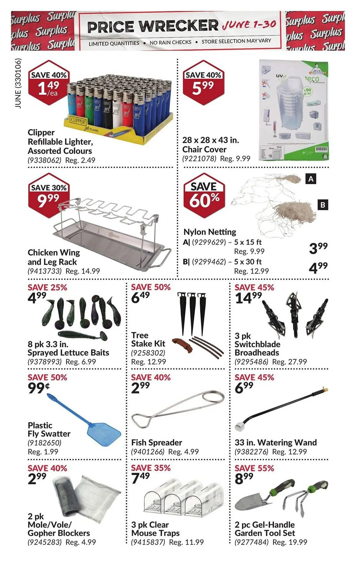 Princess Auto flyer from June 1 to June 30 2025 - flyer page 17