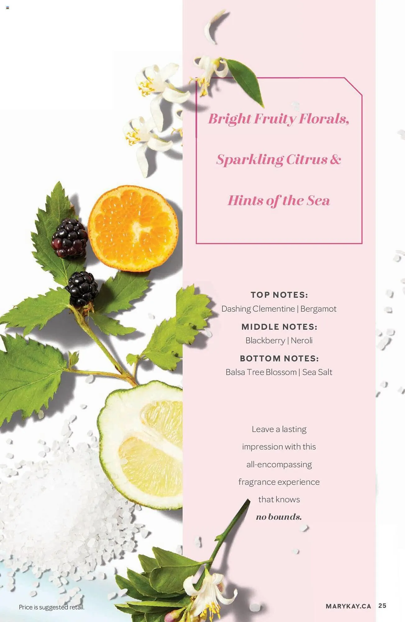 Mary Kay flyer from February 1 to May 2 2024 - flyer page 25