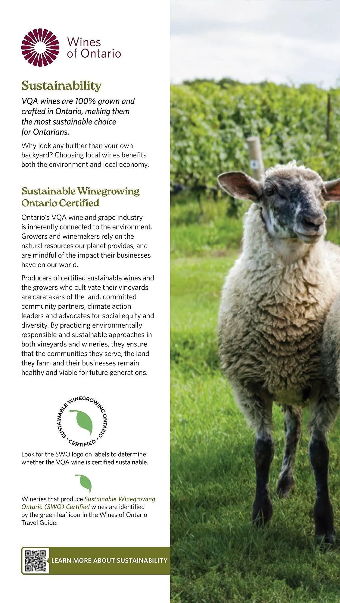 LCBO flyer from May 9 to May 15 2025 - flyer page 138