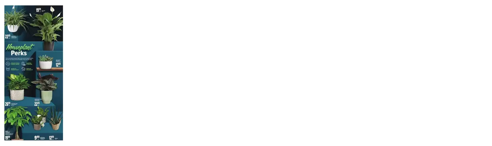 Top offers for smart savers from January 16 to January 22 2025 - flyer page 8