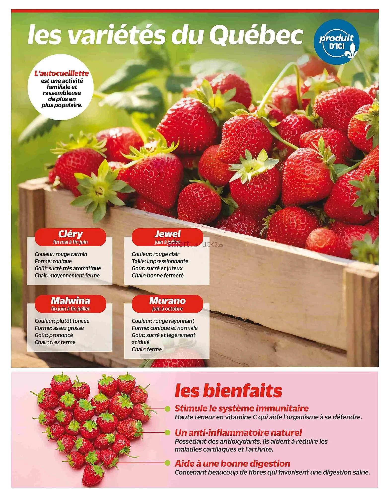 Metro flyer from July 3 to July 9 2025 - flyer page 5