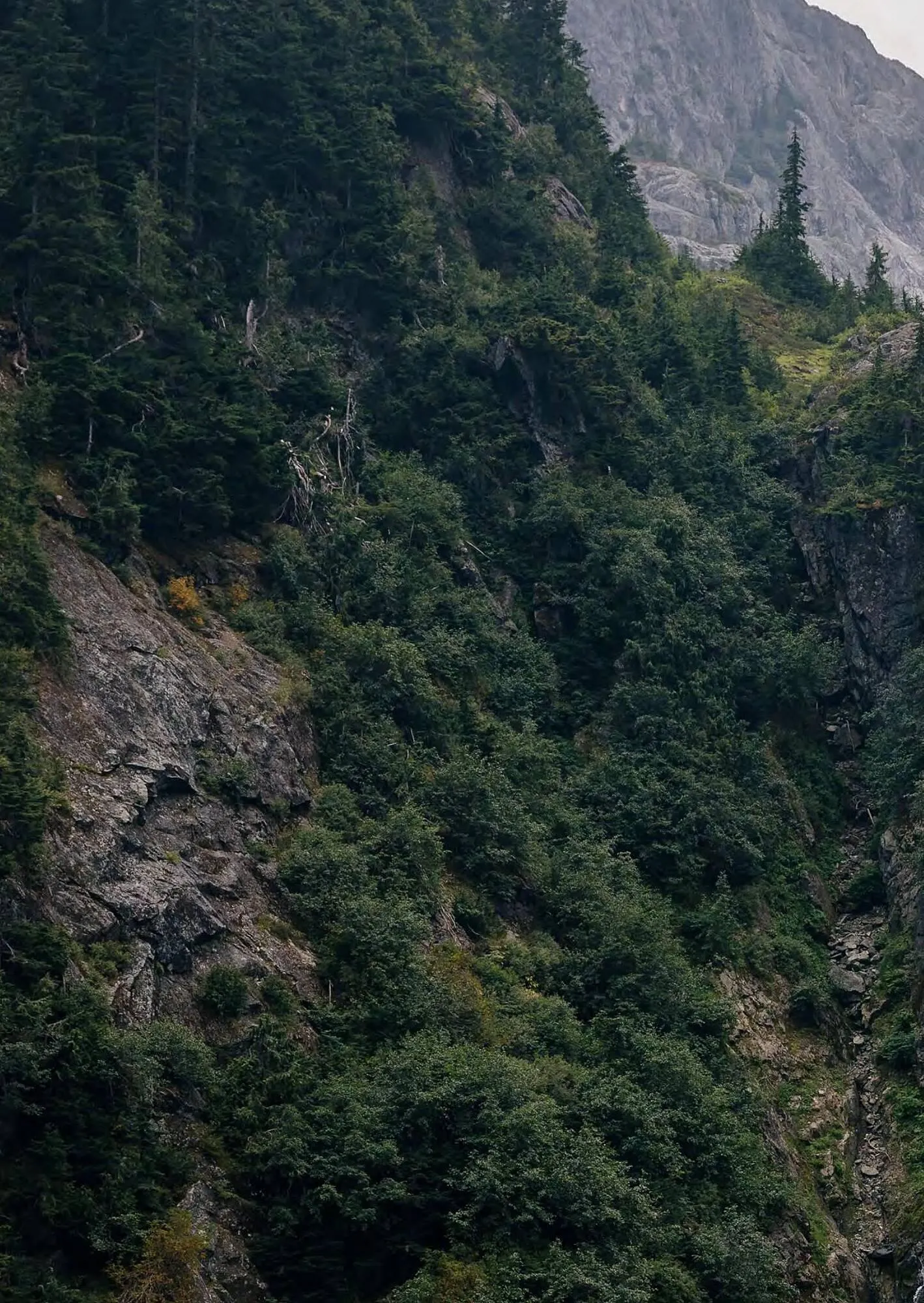 Helly Hansen flyer from July 20 to December 31 2024 - flyer page 2