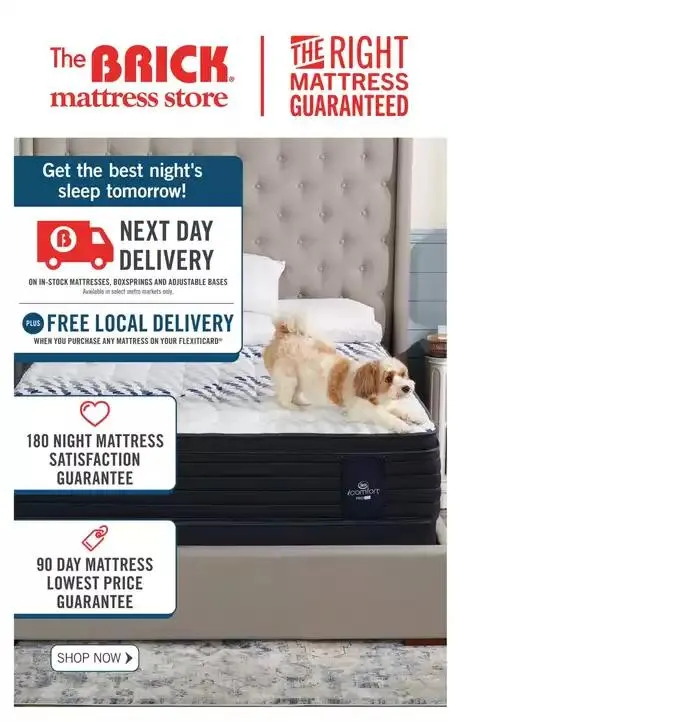 Brick Mattress Store from January 30 to February 13 2025 - flyer page 10