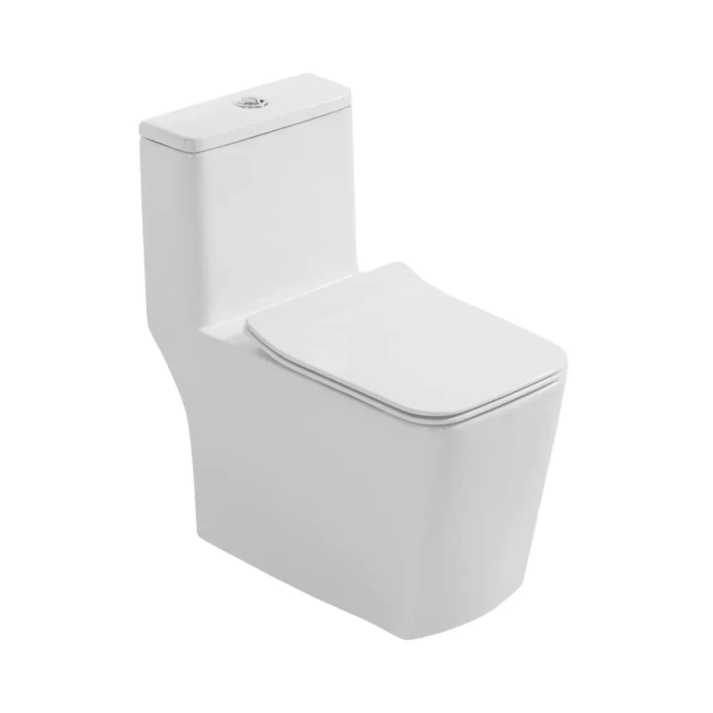 Ixia 1-piece 4/6L GPF Dual Flush Right Height Elongated Toilet in White