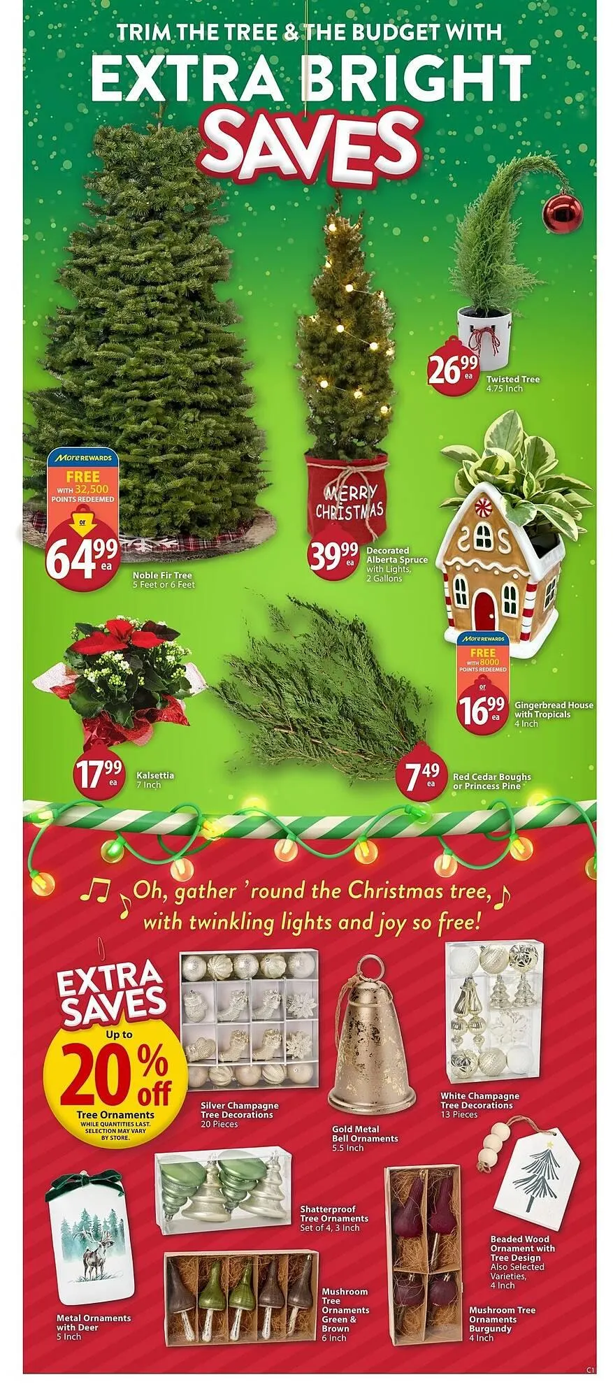 Save on Foods flyer from November 28 to December 11 2024 - flyer page 5