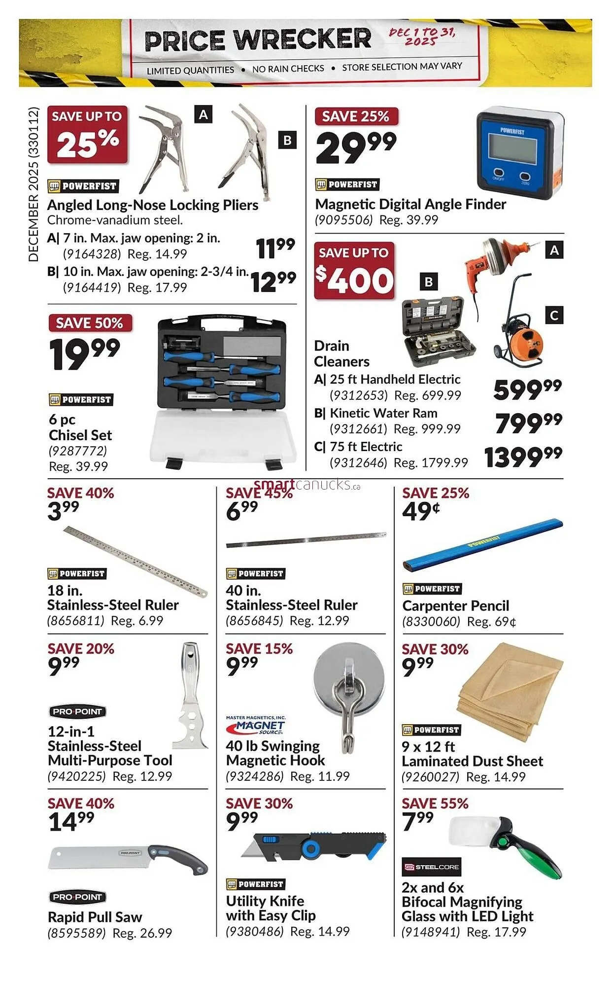 Princess Auto flyer from November 30 to December 6 2025 - flyer page 29