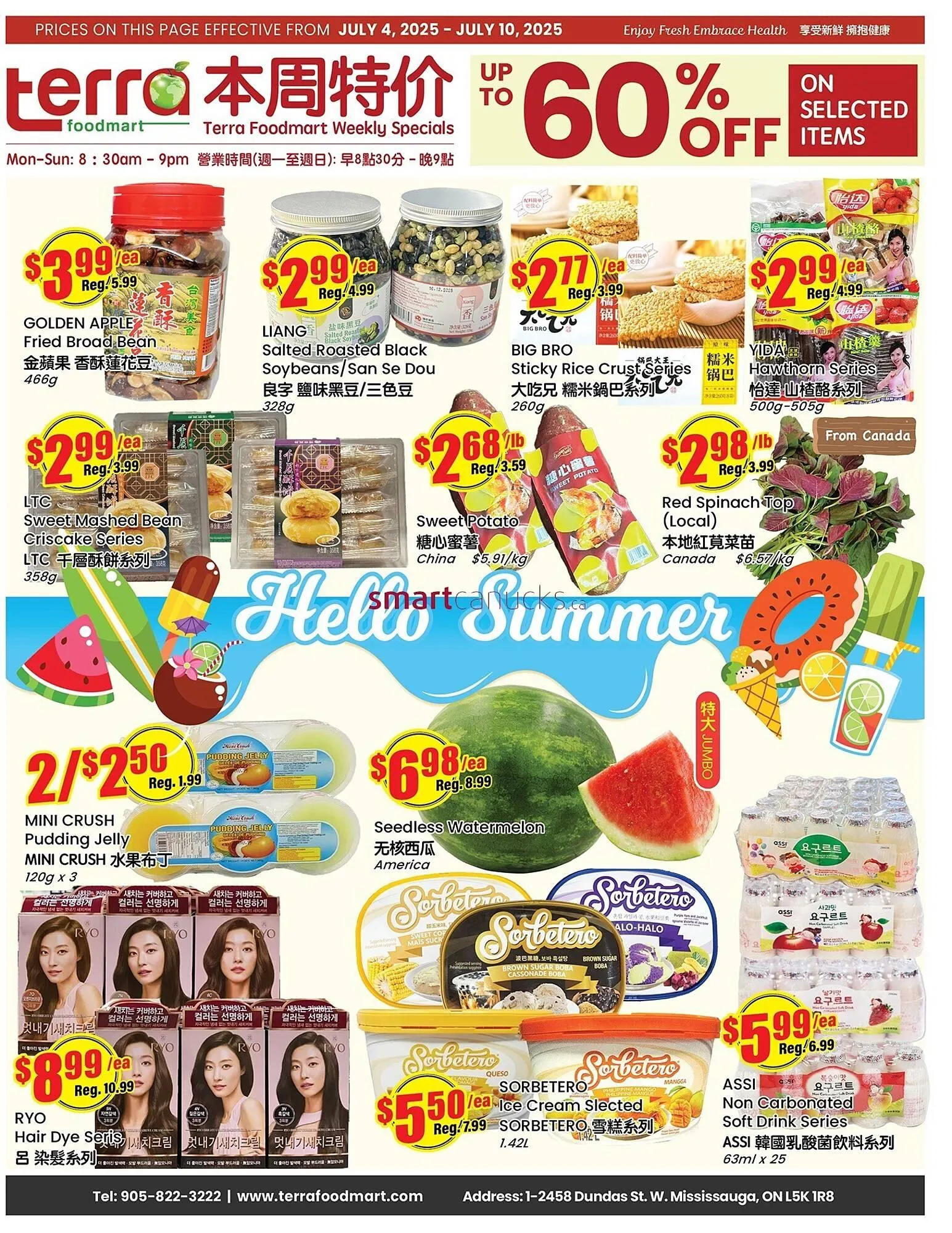 Terra Foodmart flyer from July 4 to July 10 2025 - flyer page 1