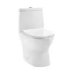 Ivy 1.1/1.6 GPF 10 inch Rough-in Elongated Toilet in White