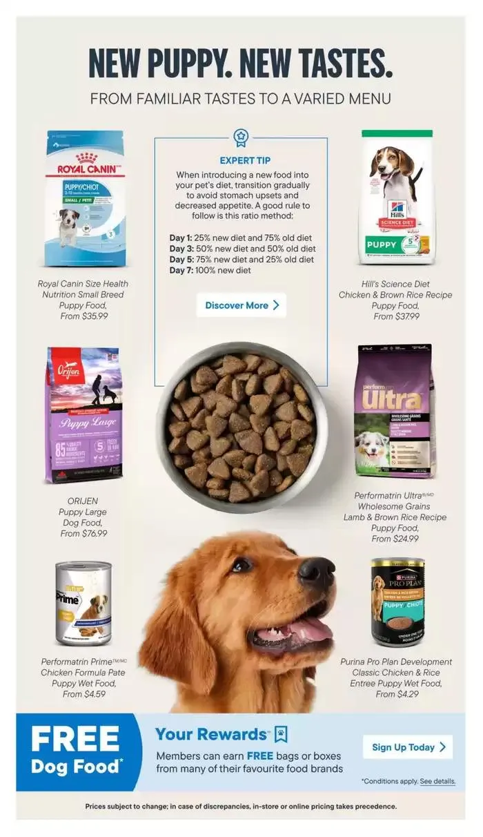 Devoted Dog Parent Guide from March 3 to March 31 2025 - flyer page 8