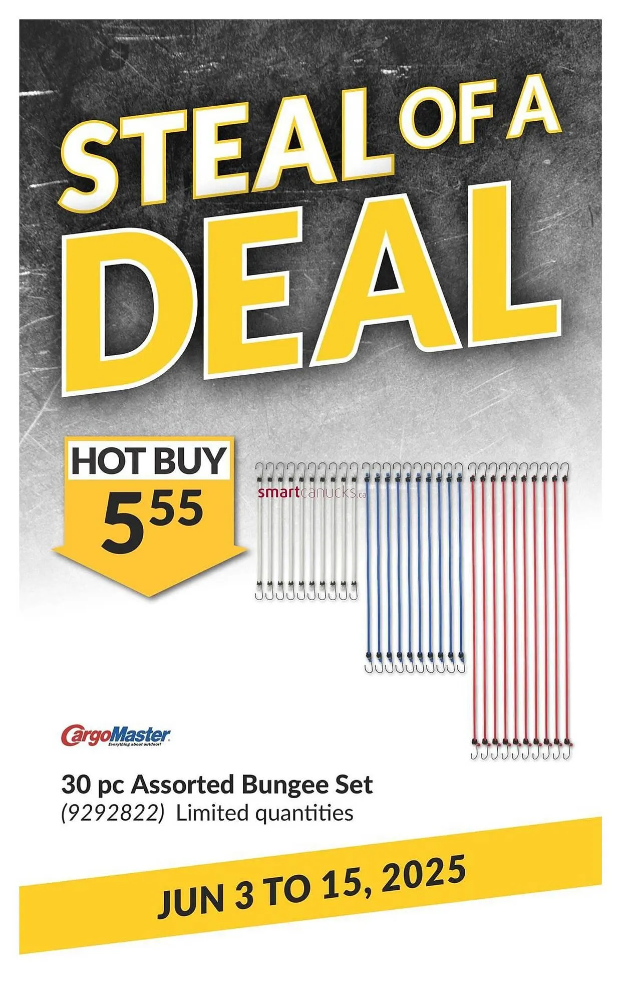 Princess Auto flyer from May 28 to June 3 2025 - flyer page 40