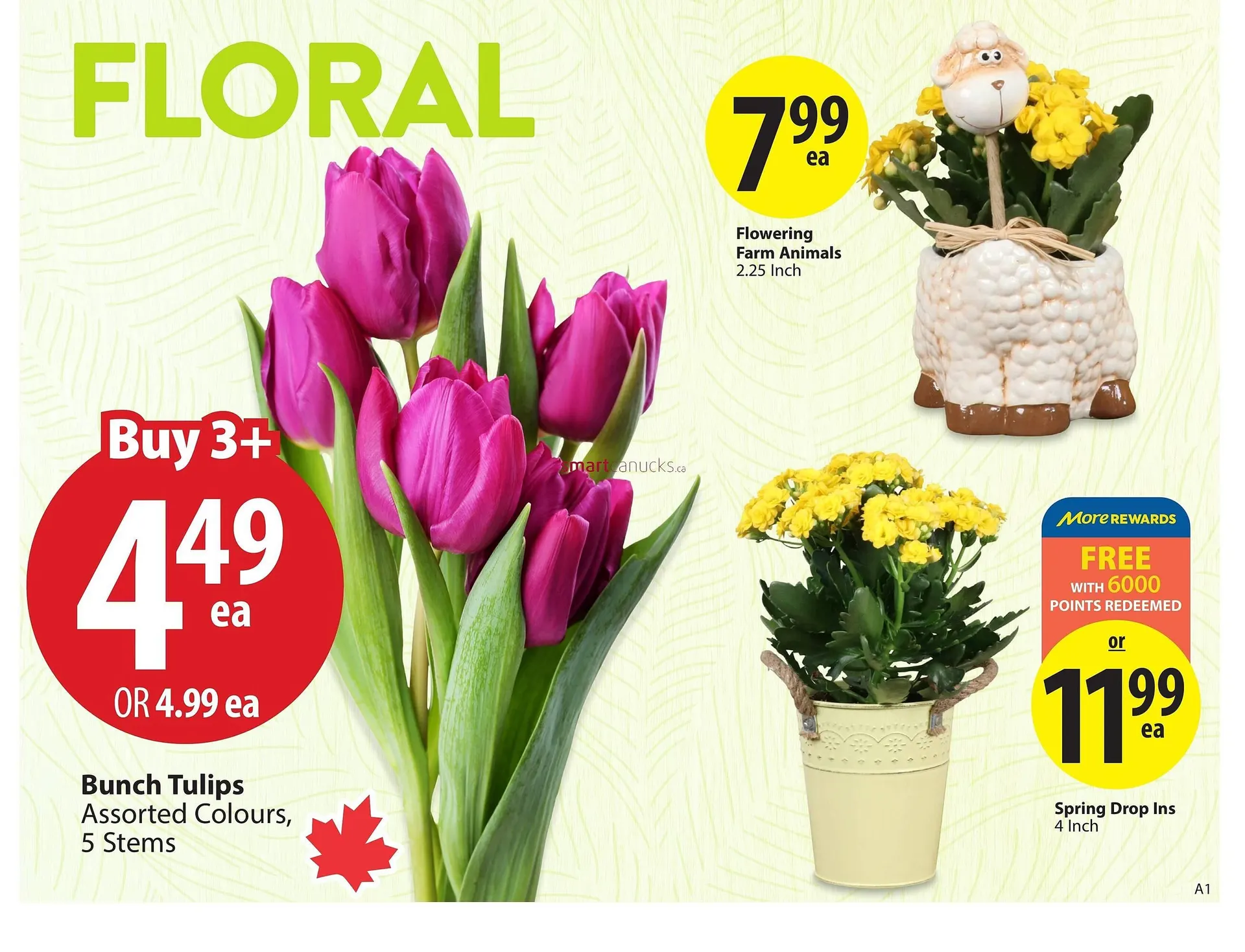 Save on Foods flyer from April 2 to April 8 2025 - flyer page 4