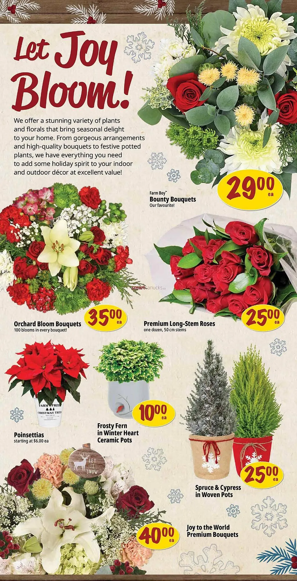 Farm Boy flyer from December 18 to December 24 2025 - flyer page 5