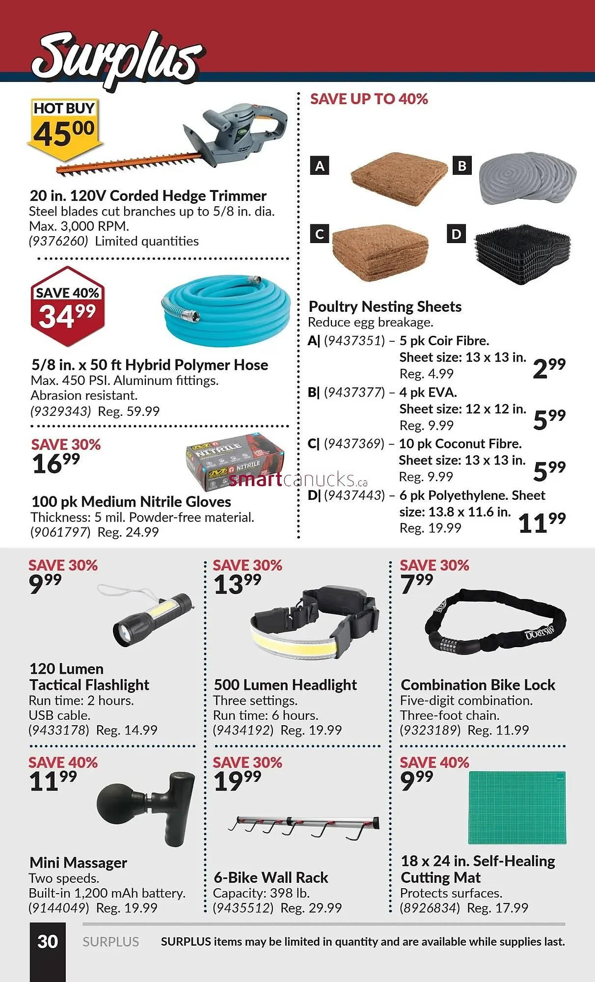 Princess Auto flyer from July 3 to July 9 2025 - flyer page 34