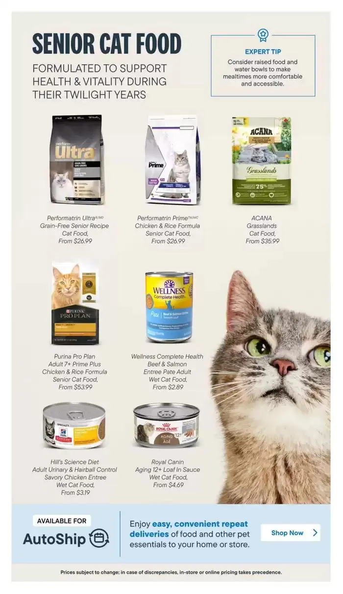 Devoted Cat Parent Guide from March 3 to March 31 2025 - flyer page 10