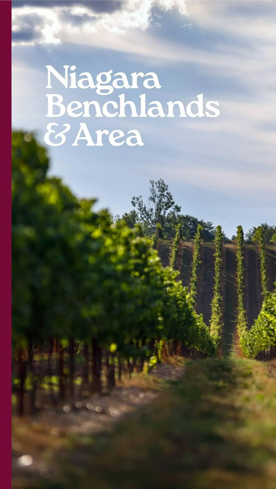 LCBO flyer from May 9 to May 15 2025 - flyer page 170