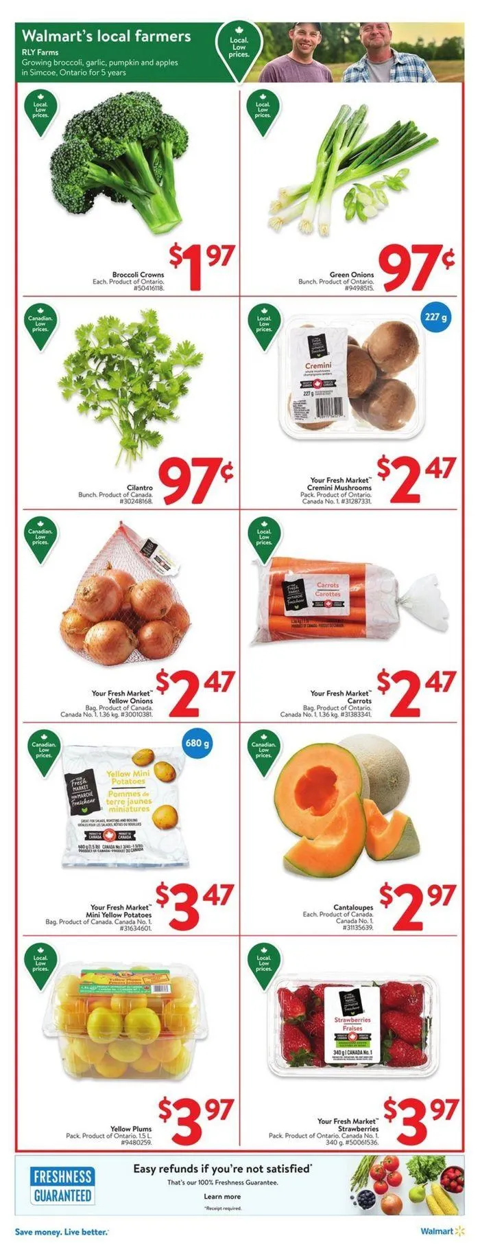 Walmart flyer from August 15 to August 21 2024 - flyer page 21