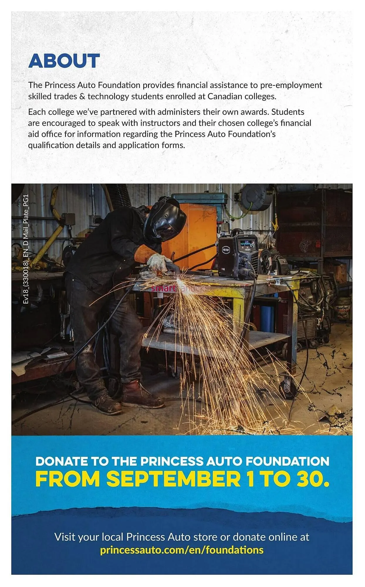 Princess Auto flyer from August 26 to September 7 2025 - flyer page 7