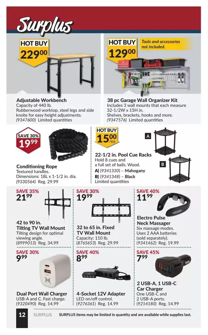 National Sale from January 14 to January 26 2025 - flyer page 17