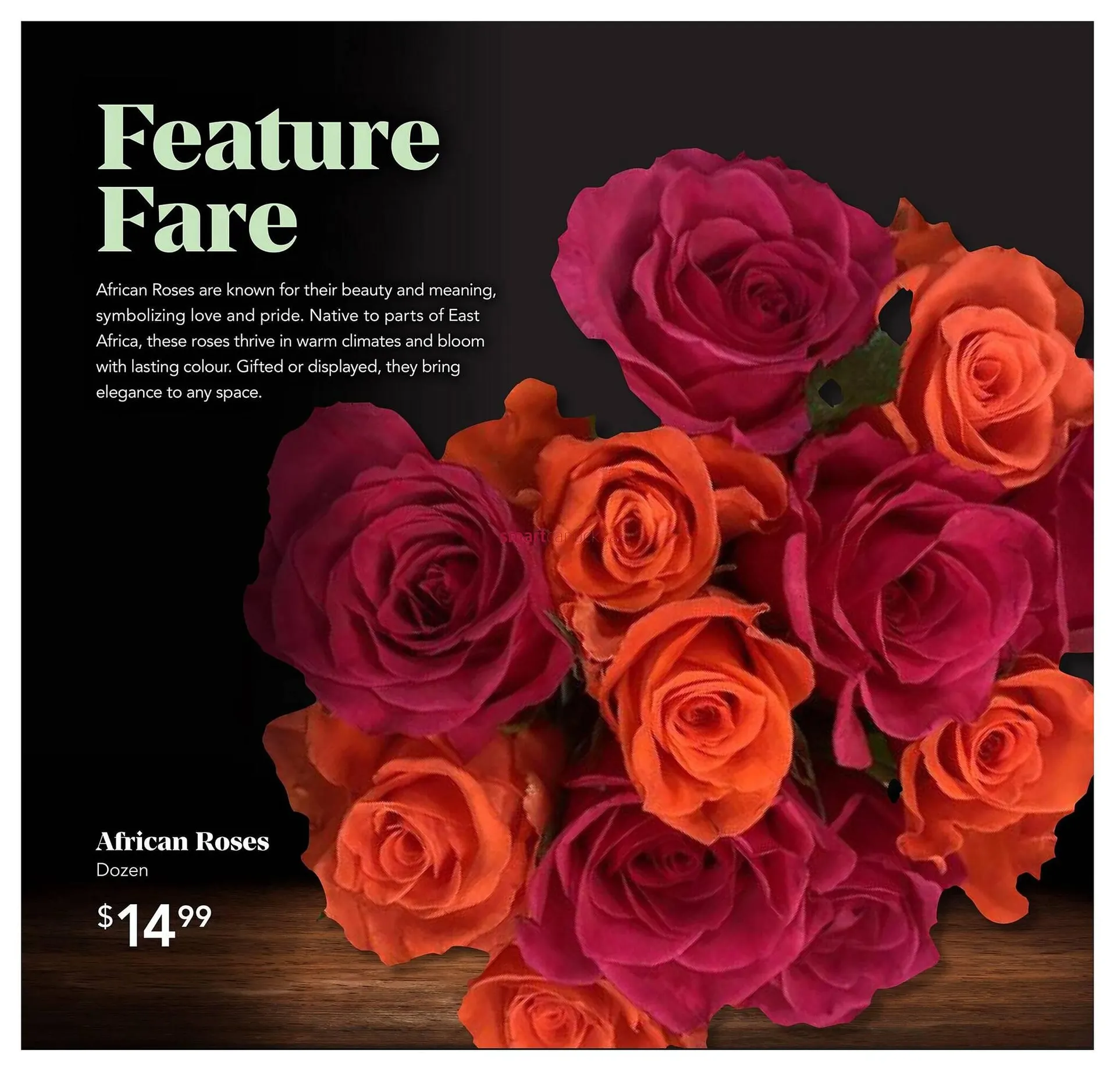 Urban Fare flyer from October 23 to October 29 2025 - flyer page 10