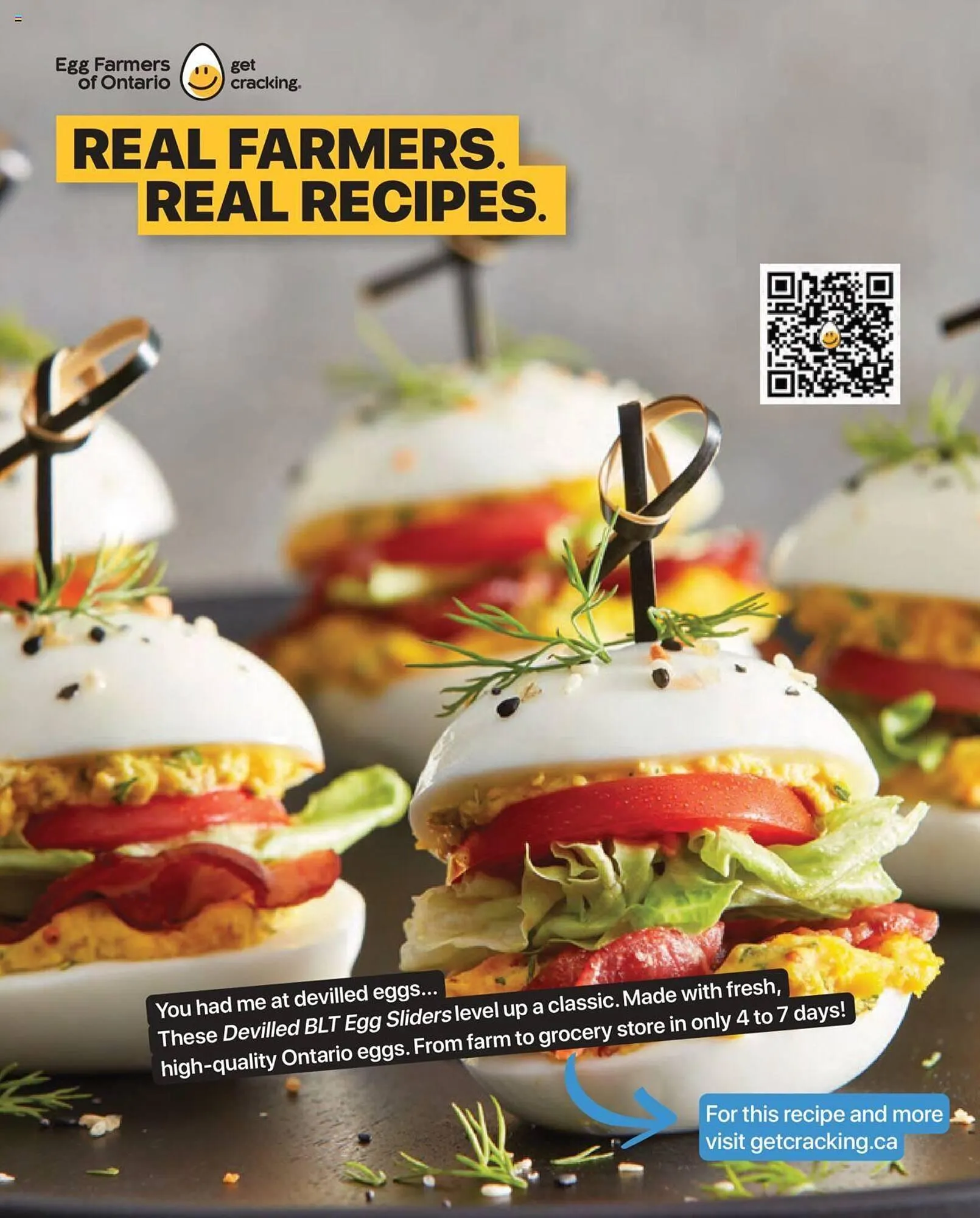 LCBO flyer from September 1 to September 12 2024 - flyer page 273