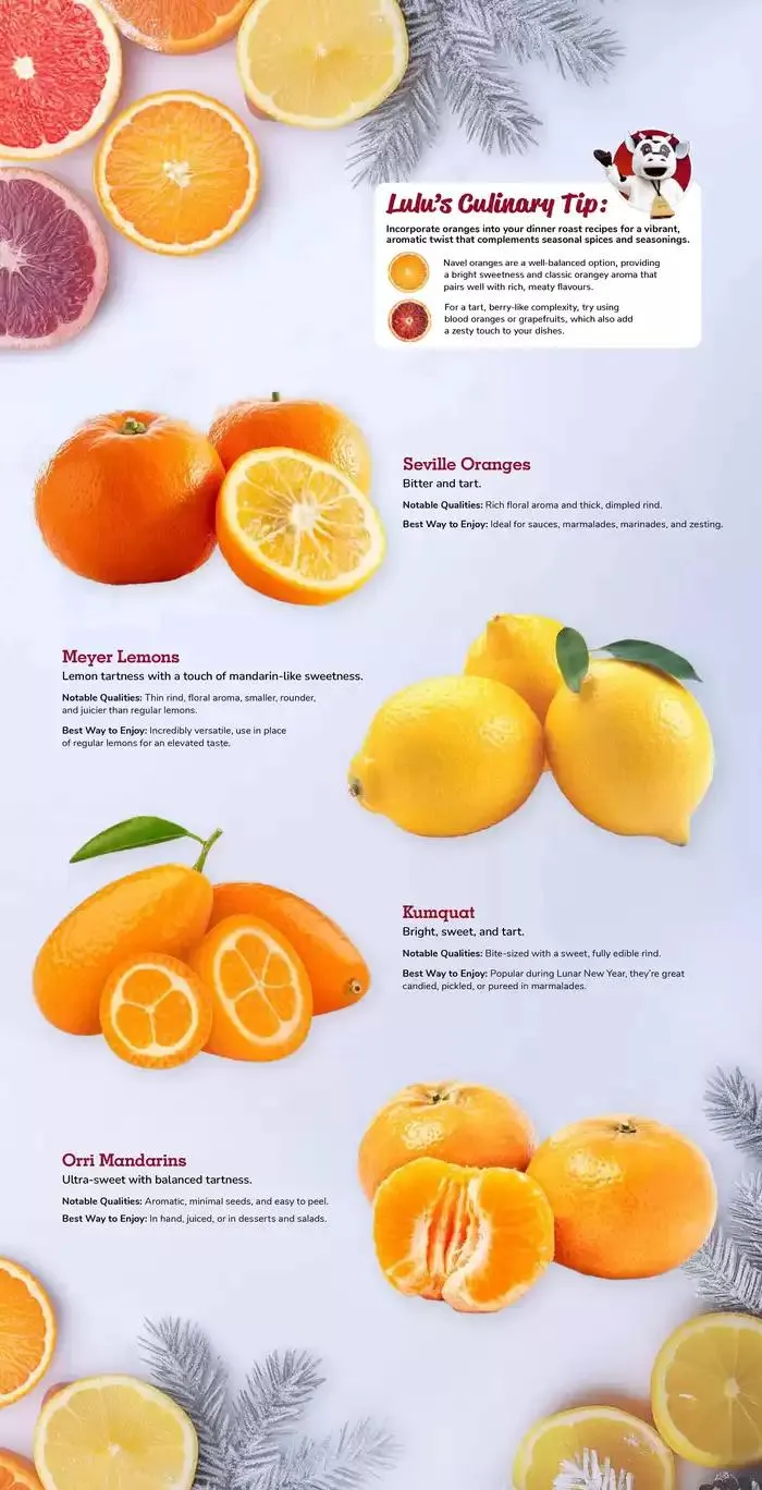 Farm Boy weekly flyer from January 9 to January 15 2025 - flyer page 7