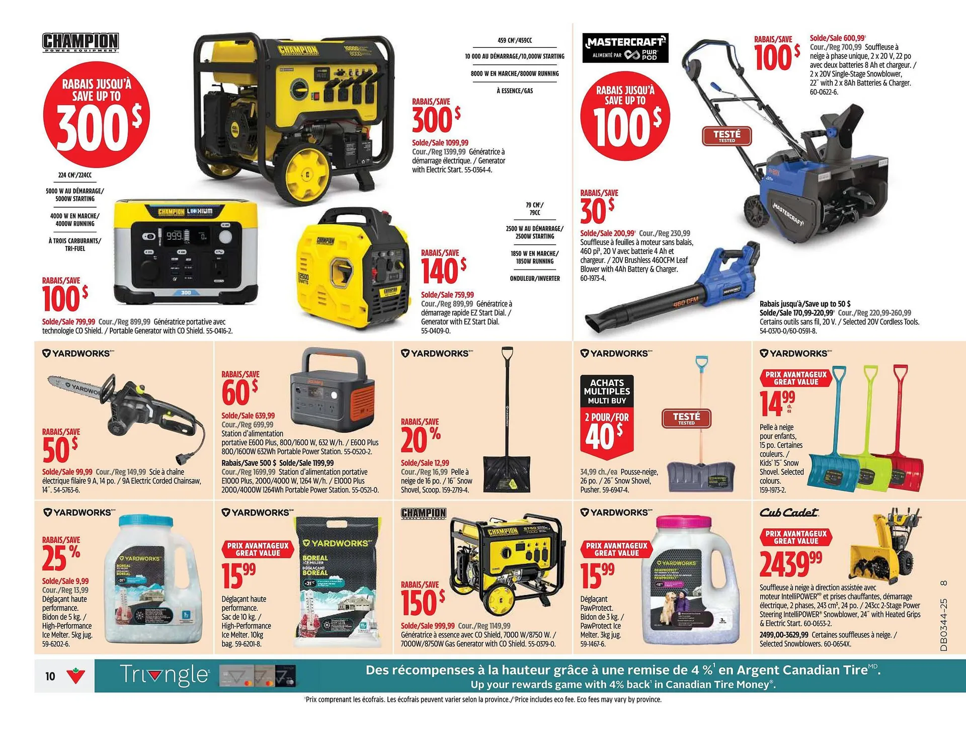 Canadian Tire flyer from October 23 to October 29 2025 - flyer page 10