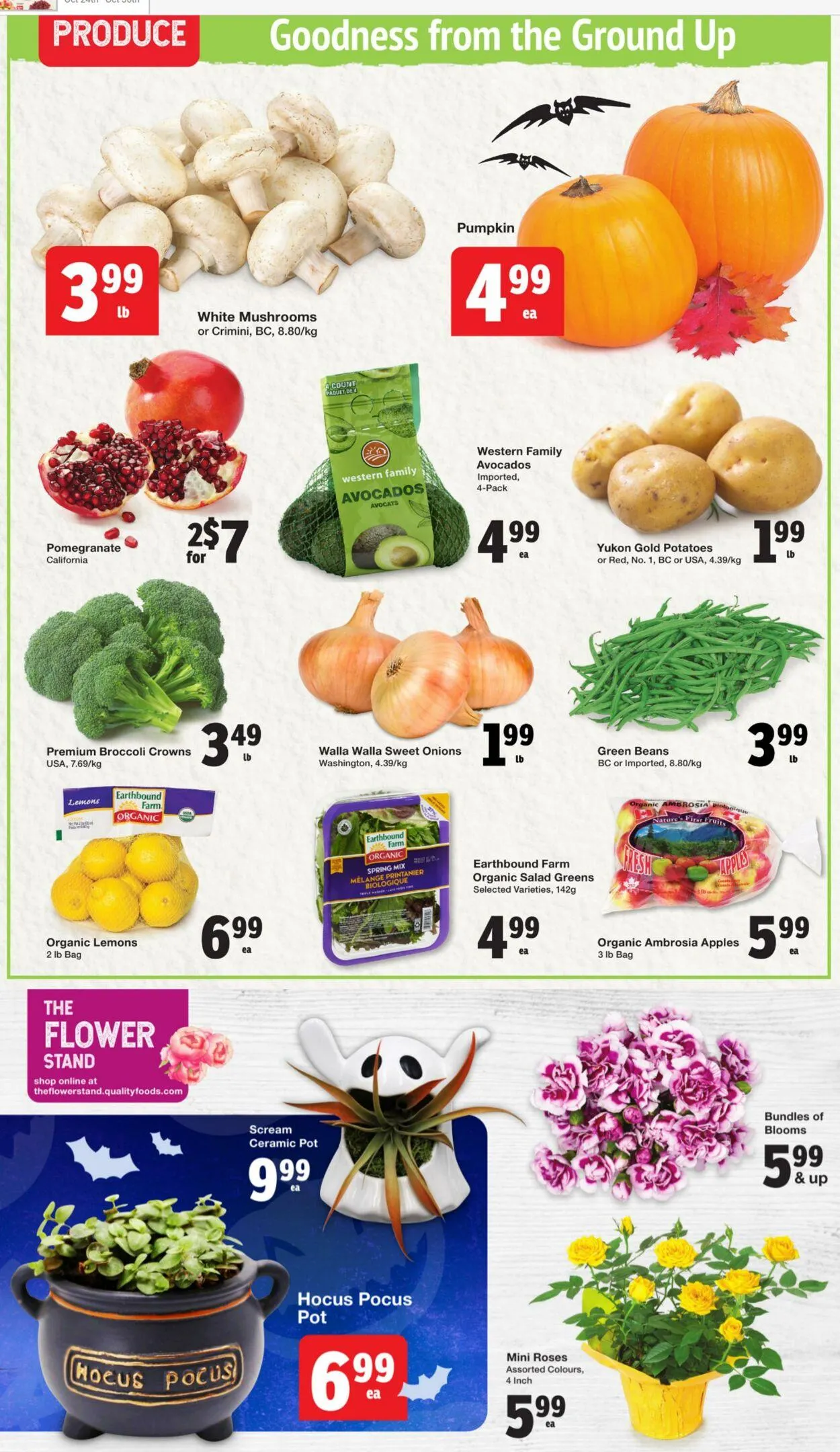 Quality Foods Current flyer from October 24 to October 30 2024 - flyer page 2
