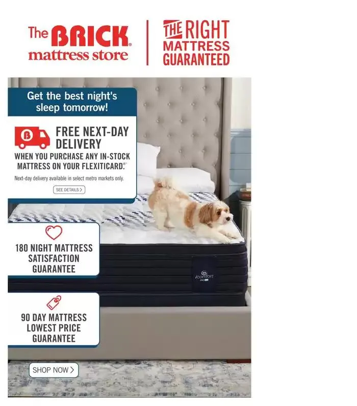 Discounts and promotions from March 13 to March 26 2025 - flyer page 13