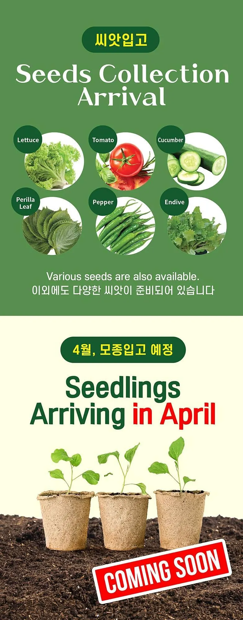H-Mart flyer from March 28 to April 3 2025 - flyer page 7