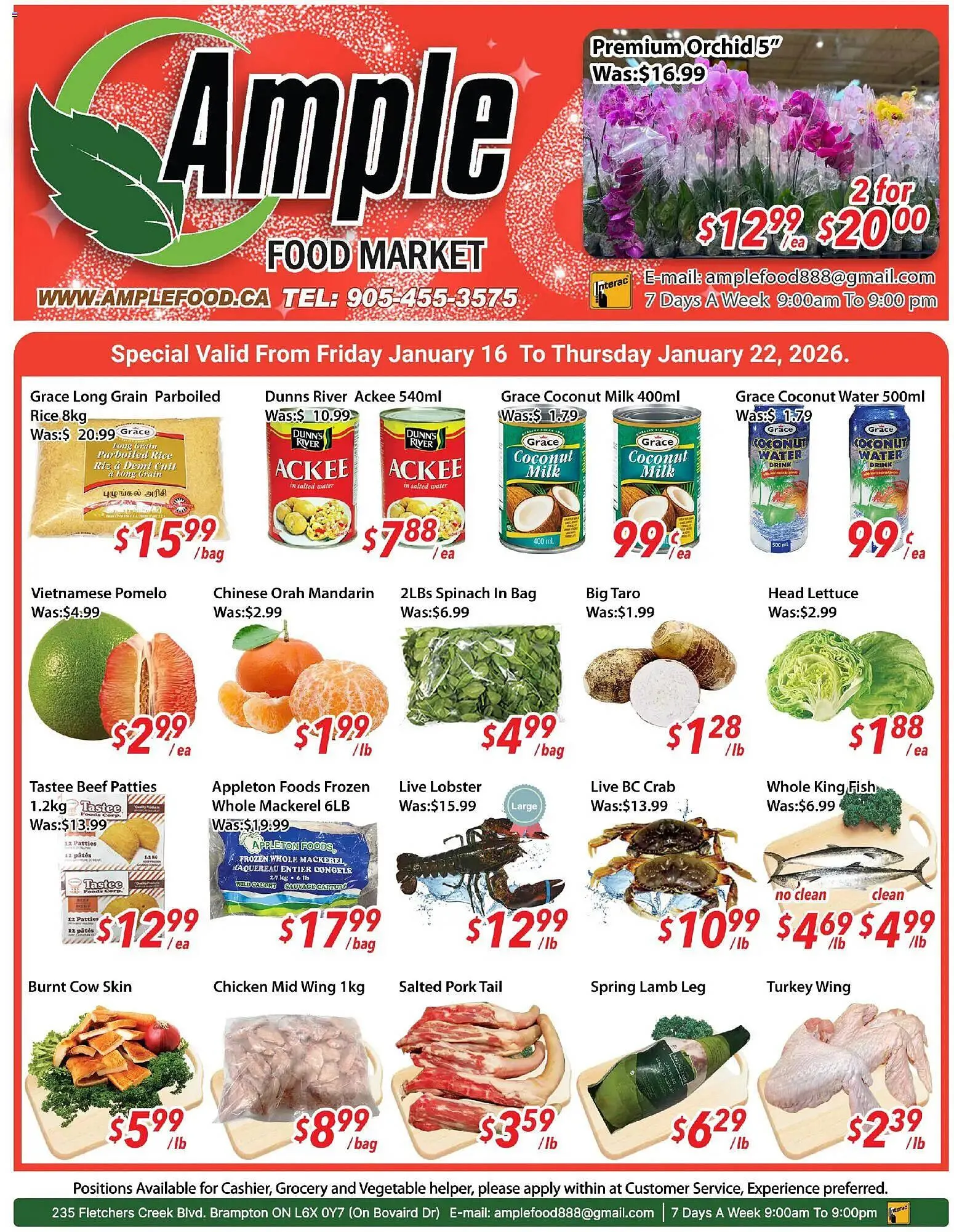 Ample Food Market flyer - 1
