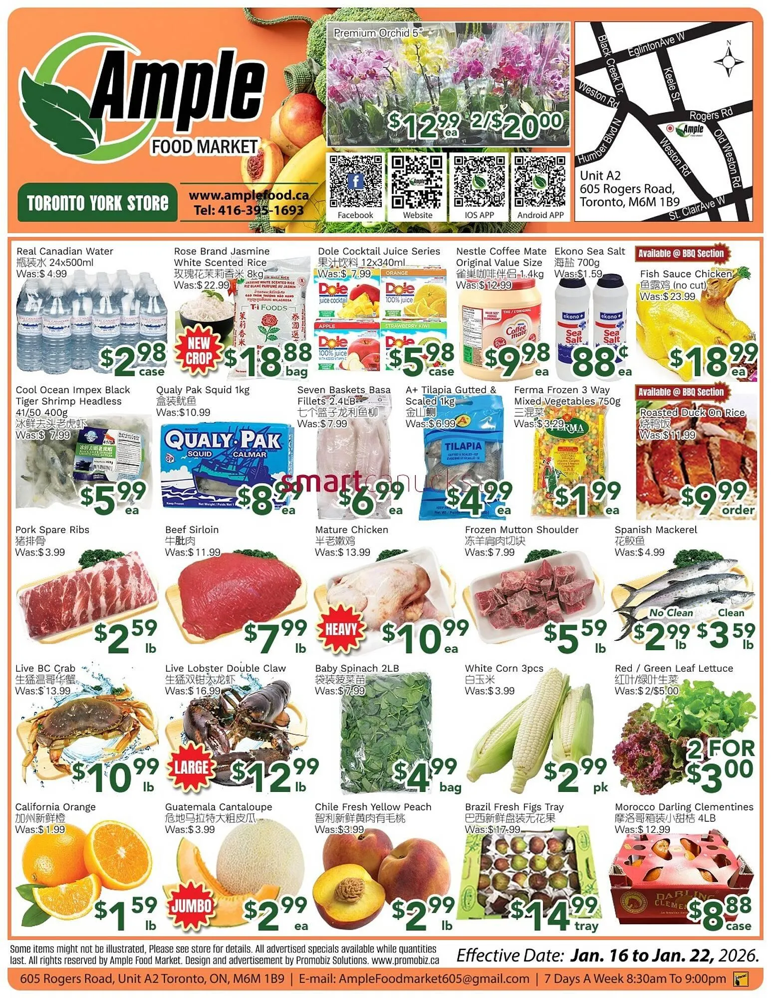 Ample Food Market flyer from January 16 to January 22 2026 - flyer page 1