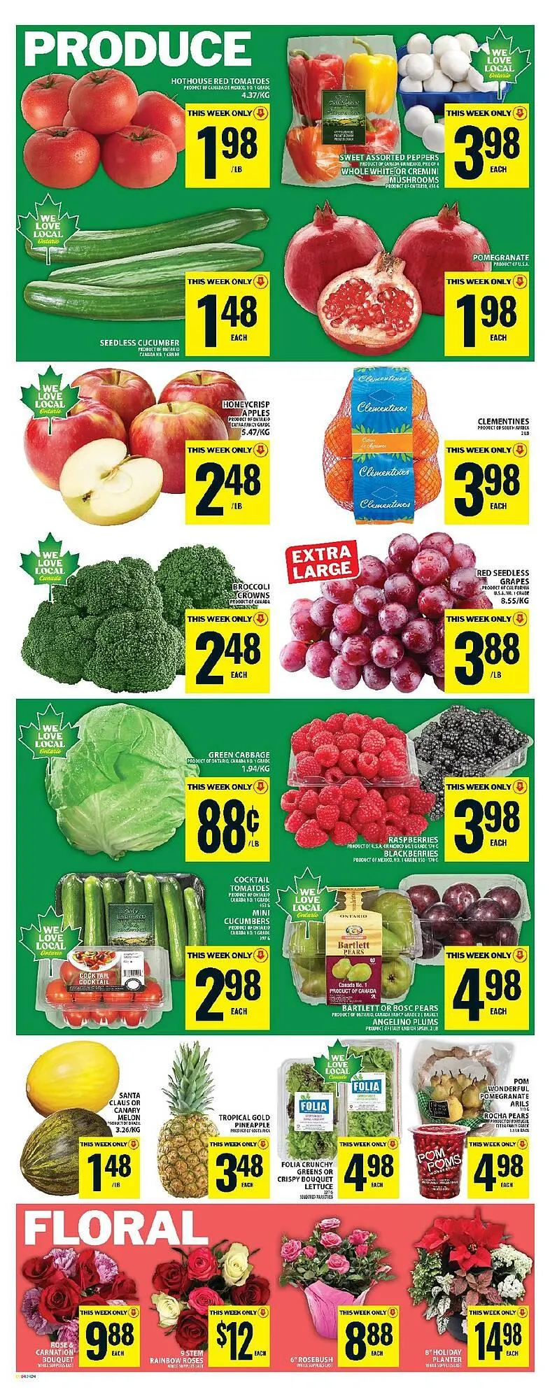 Food Basics flyer from November 20 to November 26 2025 - flyer page 7