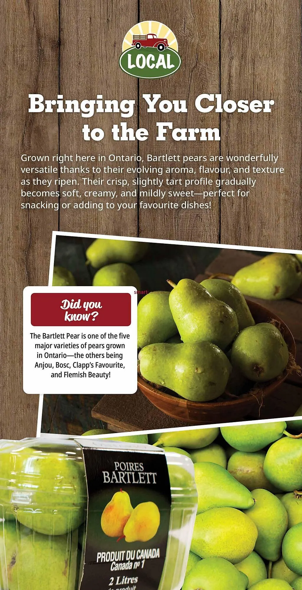 Farm Boy flyer from September 18 to September 24 2025 - flyer page 6