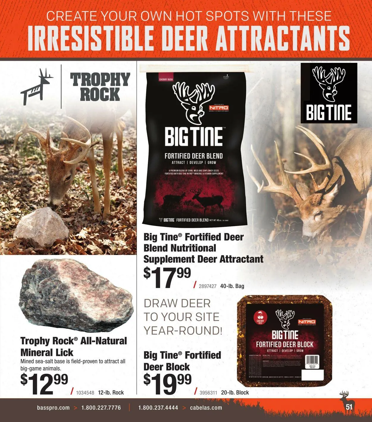 Bass Pro Current flyer from August 28 to September 11 2025 - flyer page 51