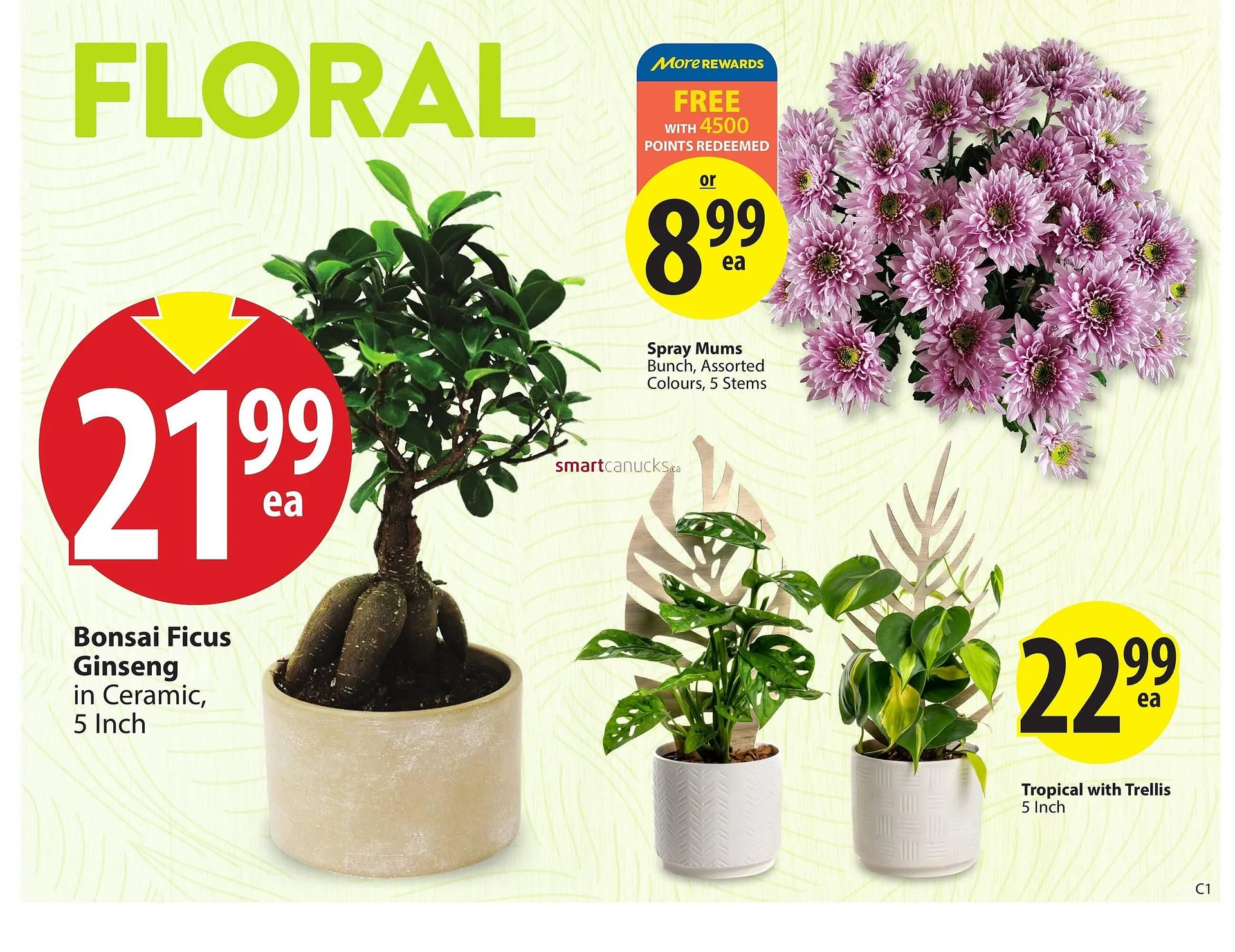 Save on Foods flyer from May 15 to June 18 2025 - flyer page 6