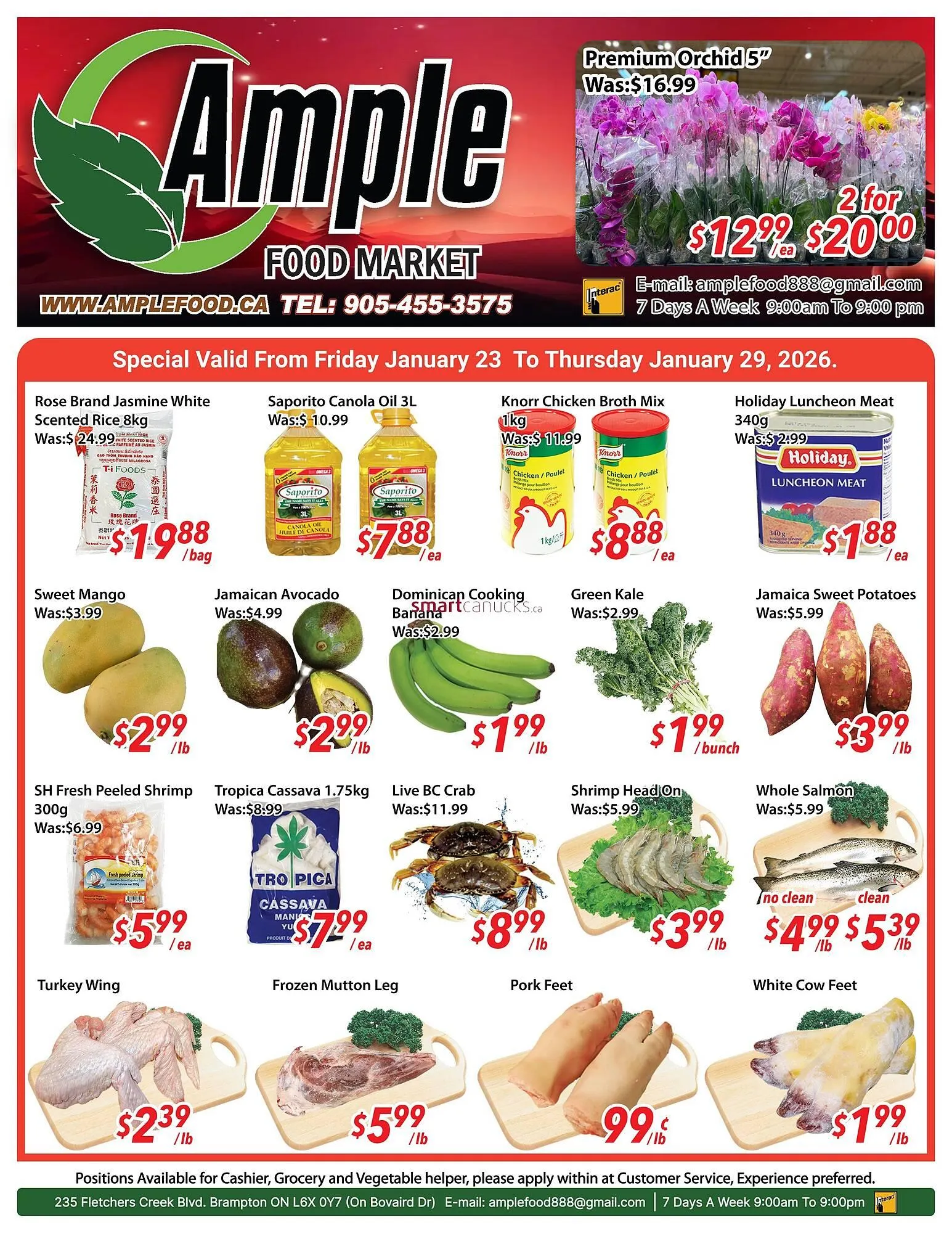 Ample Food Market flyer - 1